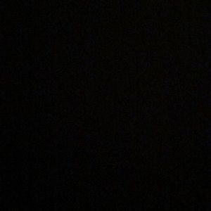 Meet your Posher, Molly